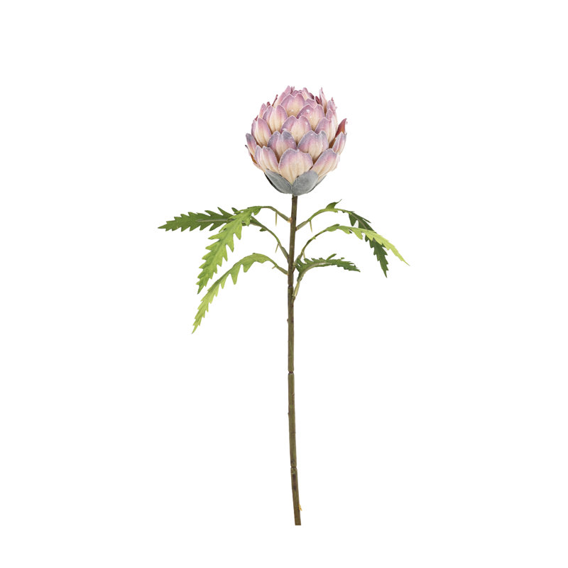 Arrangement