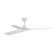 Lucci Air Abyss 56in 3-Blades DC Indoor/Outdoor Ceiling Fan with Remote Control