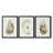 Neutral Oyster Study I " Neutral Oyster Study I " 3 - Pieces Painting Print-69983812-69983813