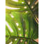 Fiori 109cm Faux Palm Branch