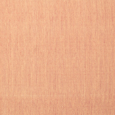 Dobrotin Indoor Rug