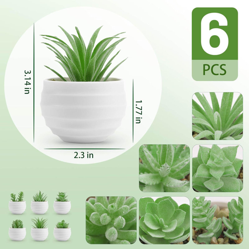 Paquet de 6 plantes artificielles succulentes artificielles pour la décoration intérieure
