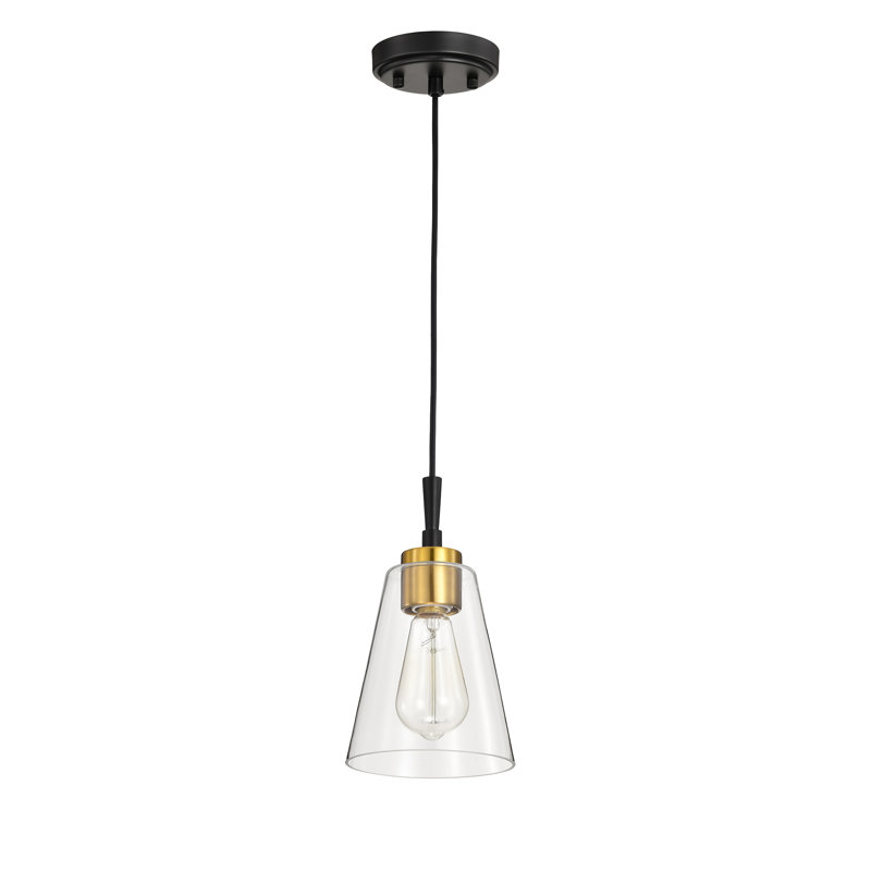 Cassand 1-light Modern Pendant With Clear Cone Glass Shade, Gold/Matte Black