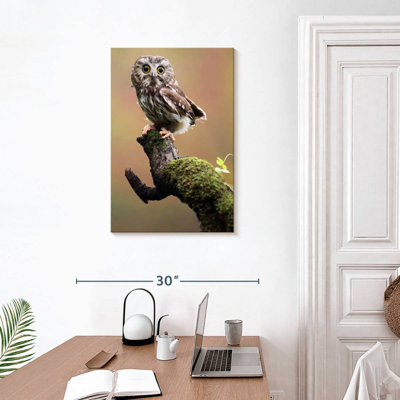 Brampt Northern Saw Whet Owl, 30" H x 20" W