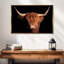 Vache écossaise Highland-518543483-518543481