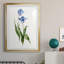 Peinture botanique bleue vive II-789340625-789340626