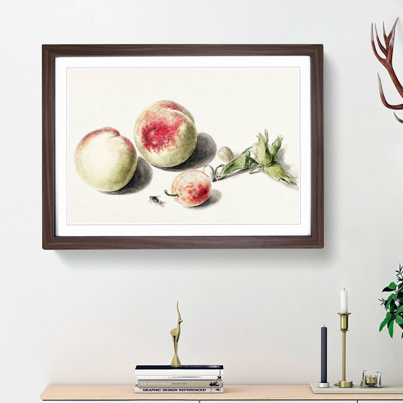 Peaches & Plum by E.G. Van De Kasteele - Picture Frame Painting Print, 48cm H x 65cm W x 2cm D, Walnut Framed