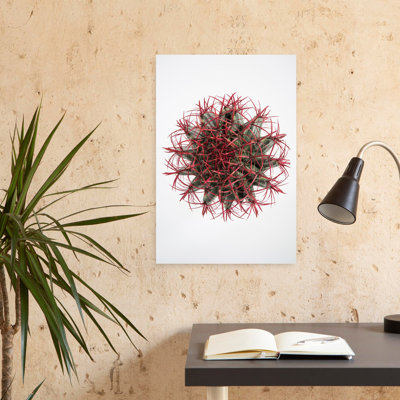 Art contemporain contemporain avec cactus