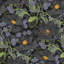 Papavera Floral Wall Mural-1887941705