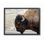 " Beautiful Buffalo "