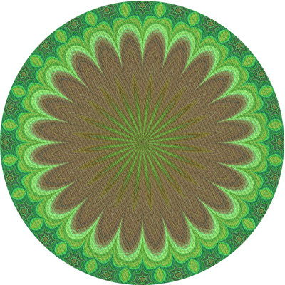 Oriental Indoor Rug