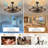 23/32" Caged Modern Farmhouse Ceiling Fans With Lights And Remote-656195667