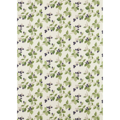 Rubus Fabric