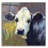 " Moo " by Rita Kirkman-872264793