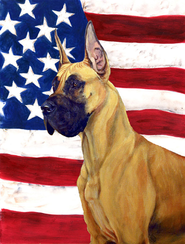 2 côtés en polyester de 2 côtés american drapeau de jardin, Montagnard des Pyrénées
