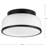 Asuna Glass Flush Mount-603401811
