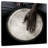 Abarca Djembe Drum-109394311