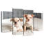 Brampt Chihuahua Buddies-108837730