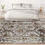 Oriental Area Rug