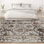 Oriental Indoor Rug