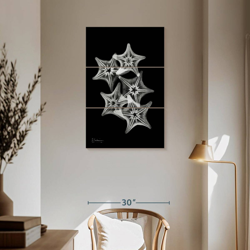 Brampt Starfish Collage, 57" H x 36" W