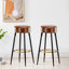 Tabouret de bar et de comptoir Bremen-1892731631