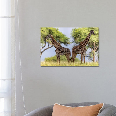 Twins 1 Piece Wrapped Canvas Wall Art