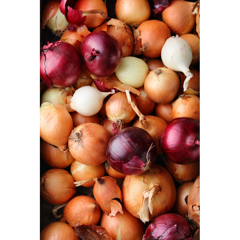 Top View Of Onion by Olha_Afanasieva - Wrapped Canvas Print, 76cm H x 51cm W