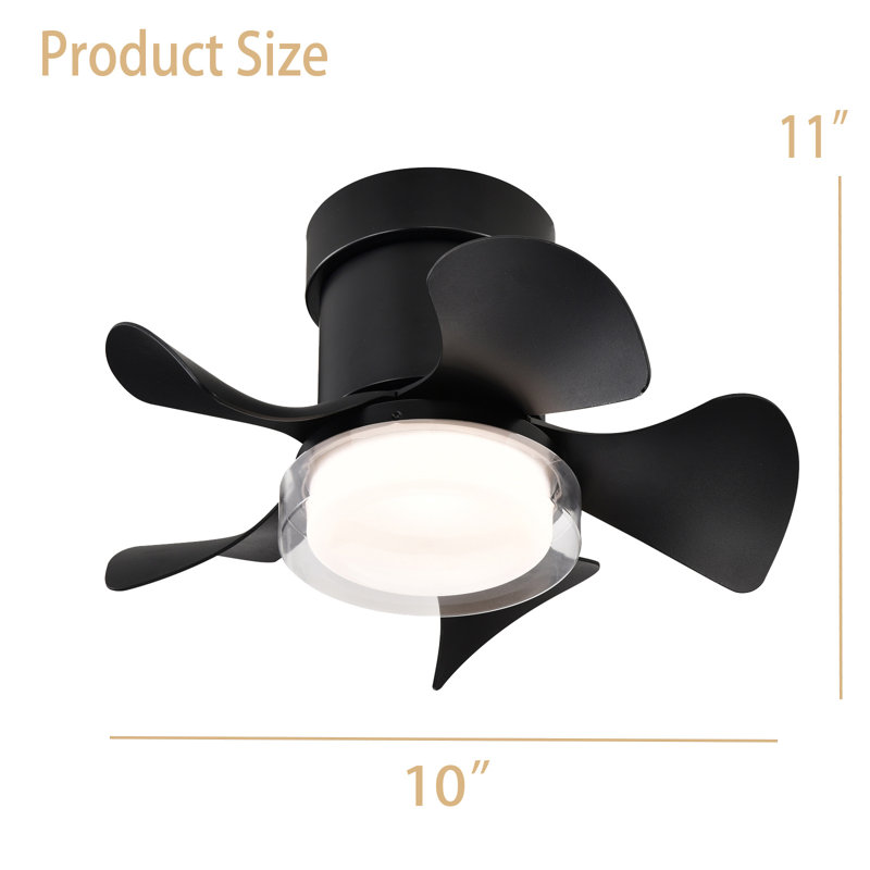 Hayde Ceiling Fan with LED Lights, Black