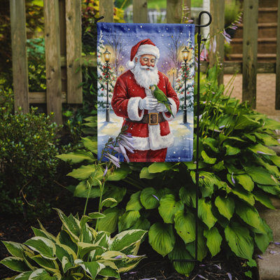 Vert perroquet quaker avec le drapeau du jardin du père Noël