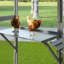 Poulet Eather-215139196-215139199
