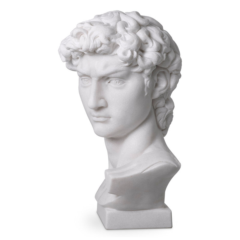 David Bust