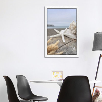 Crescent Beach Shells XIII by Alan Blaustein - Floater Frame Print on Canvas