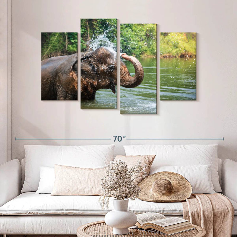 Elephant Throws Water