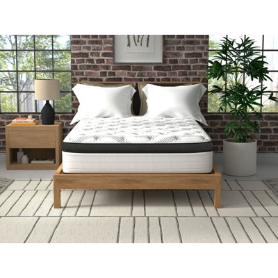 Matelas hybride 14 po Wayfair Sleep