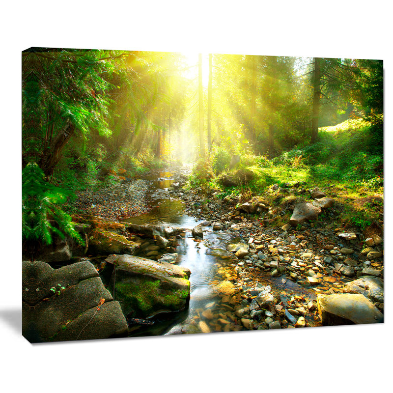«Mountain Stream in Forest», reproduction de photo sur toile, Toile tendue, H 12 po x l 20 po x p 1 po