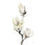 «White Magnolia I» par Katrina Pete - Peinture-2105280663-2131290664-2131290657