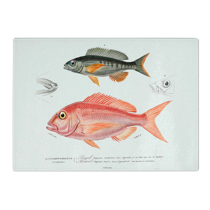 Tempered Glass Fish Illustrations by Charles D' Orbigny Chopping Board, 28.5 cm x 20 cm