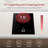 FOTILE Black Induction 1 Burner Cooktop