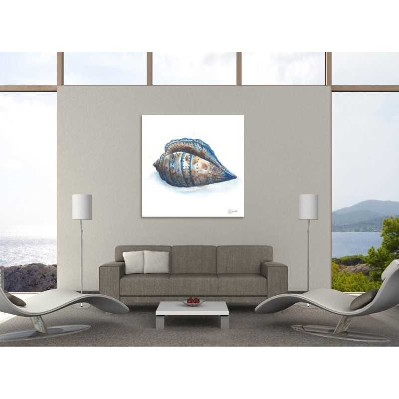 Bohemian Shells: Sea Shells - Impression sur toile tendue, H 36 po x l 36 po x P 1,5 po