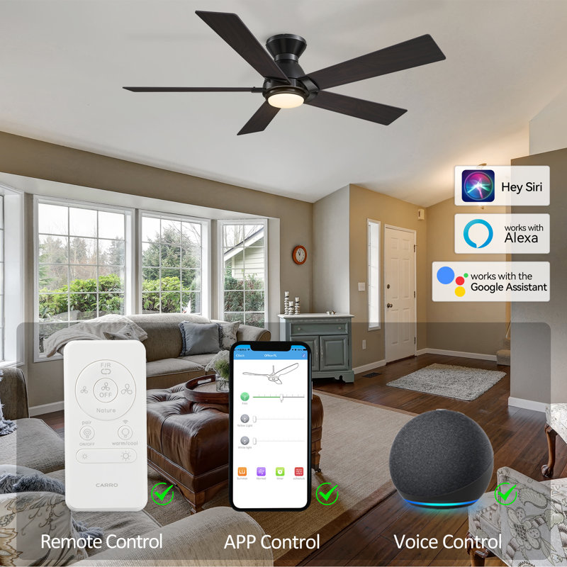 48'' 5 - Blade  Smart  Ceiling Fan with Light, Black