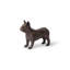 Animals French Bulldog-49609687
