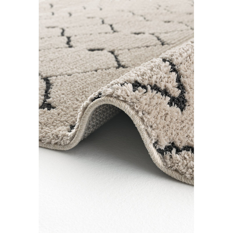 Adalgira Machine Made Indoor / Outdoor Area Rug, Runner 3'3" x 14'9"