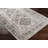 Dickison Washable Oriental Indoor Rug-1972595749