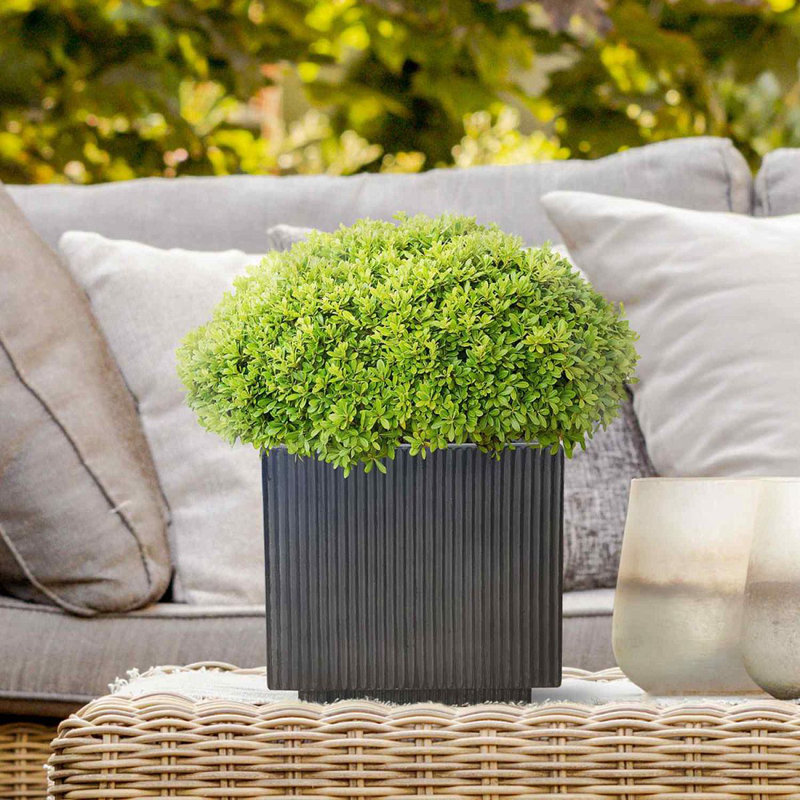 Black Concrete Effect Square Planter, Frostproof Outdoor Plant Pot, Garden Planter Box with Drainage Holes
