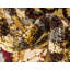Tapis rouge / crème à motif abstrait Eelijah-73867173