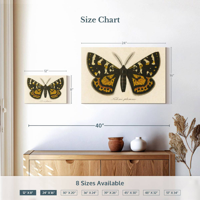 Brampt Natures Butterfly V, 16" H x 24" W