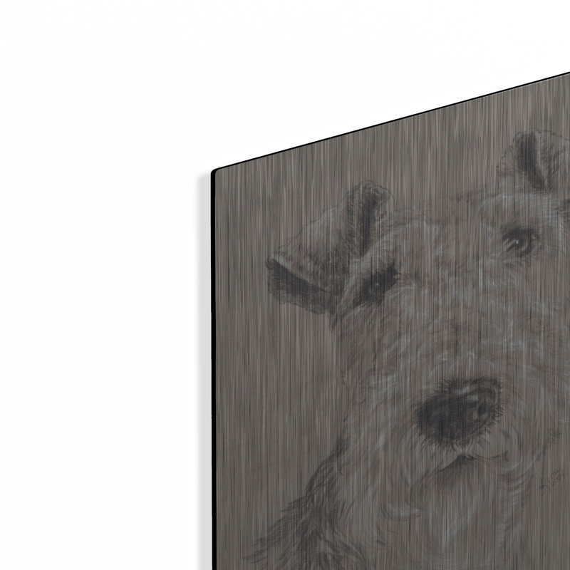 «Wire Fox Terrier» par Barbara Keith, H 16 po x l 12 po