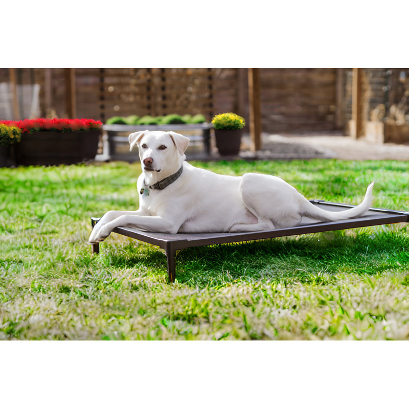 Lit pour chien Cooling, H 7 po x l 30 po x P 42 po