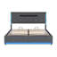Upholstered Ottoman Bed-589751592